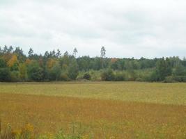panorama di il autunno campo nel il villaggio foto