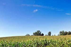 campagna natura paesaggio foto