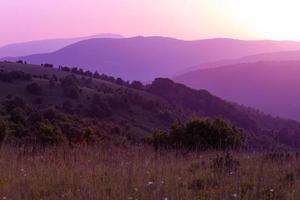 ultra viola viola estate paesaggio foto