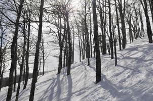 inverno paesaggio Visualizza foto