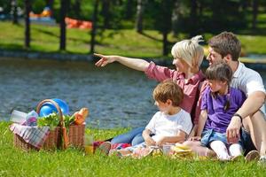 contento famiglia giocando insieme nel un' picnic all'aperto foto