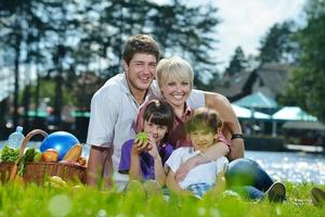 contento famiglia giocando insieme nel un' picnic all'aperto foto