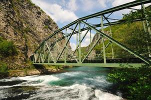 ponte sul fiume selvaggio foto