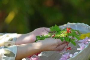 mano femminile e fiore in acqua foto