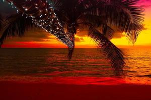 silhouette di palma albero su il spiaggia durante tramonto di bellissimo un' tropicale spiaggia su rosa cielo sfondo foto