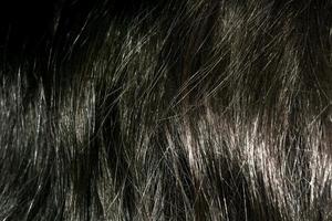 buio Marrone capelli struttura foto
