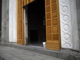 gatto dentro Chiesa di Riomaggiore cinque terre pittoresco villaggio foto