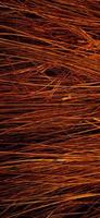 colori rosso arancio di affilata struttura aghiforme di fibra di cocco con sfondo scuro foto