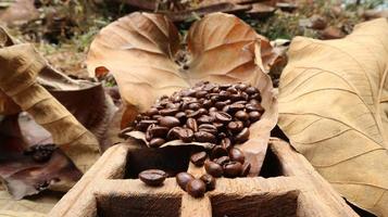 caffè fagioli nel teak scatola, sfondo di secco teak le foglie foto