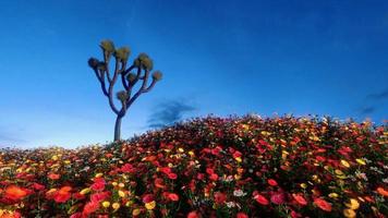 campi di fiori e grandi alberi che ricevono la luce del sole durante il giorno. cielo luminoso e nuvole rendering 3d foto