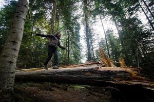 escursionista femminile con zaino che cammina sulle strade di montagna, sfondo foresta autunnale foto