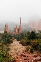 foresta con formazioni rocciose rosse foto