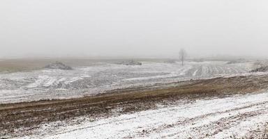 bellissimo paesaggio invernale, deforestazione foto