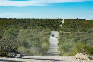 4x4 fuori strada nel baja California paesaggio panorama deserto strada foto