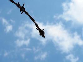 spinato filo su nuvoloso cielo foto