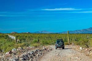 4x4 fuori strada nel baja California paesaggio panorama deserto strada foto