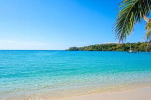 bellissimo tropicale spiaggia con palma albero e blu cielo per viaggio nel vacanza rilassare tempo nel estate foto