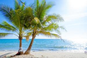 palma albero su il tropicale spiaggia, con un' bellissimo mare Visualizza su blu cielo natura sfondo foto