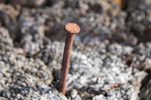 arrugginito ferro spuntone su legna macro vicino su dettaglio foto