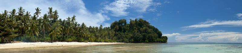 turchese tropicale polinesiano Paradiso palma spiaggia oceano mare cristallo acqua Borneo Indonesia foto