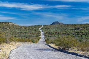 4x4 fuori strada nel baja California paesaggio panorama deserto strada foto