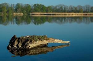 a il stagno foto