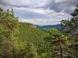 punto di vista nella foresta foto