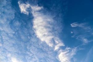 sbalorditivo cirro nube formazione panorama nel forma di un' cavalluccio marino foto