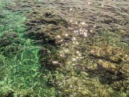 Smeraldo fondale marino sfondo foto