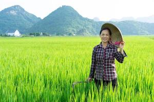 contadino donna nel il riso campo foto
