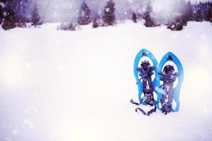 blu scarpe da neve nel fresco mostrare foto