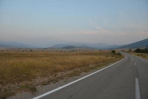 strada attraverso il verde campo foto