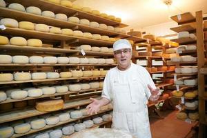 formaggio creatore a il Conservazione con scaffali pieno di mucca e capra formaggio foto