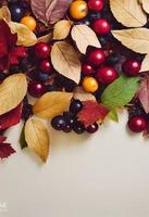 3d illustrazione di decorativo naturale autunno frutti di bosco e le foglie su un' grigio bianca strutturato carta foto