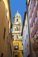 Cattedrale di Malaga dal vicolo foto