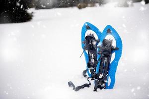 blu scarpe da neve nel fresco mostrare foto