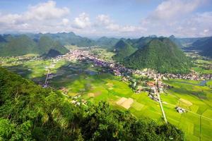 Rice Field Valley Bac Son, Vietnam