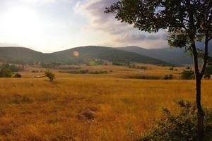 vista del paesaggio estivo foto