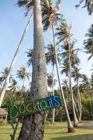 cocktail firmano sul tronco della palma