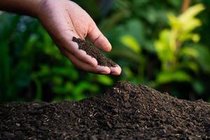 mani hold il suolo con pianta semi. natura fotografie per il ambiente e agricoltori