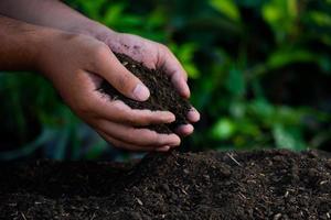 mani hold il suolo con pianta semi. natura fotografie per il ambiente e agricoltori