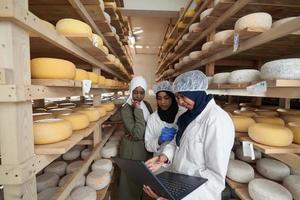 attività commerciale donna squadra nel Locale formaggio produzione azienda foto