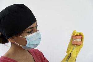 il donna dentista è Tenere dentiere nel il suo mani e strumenti foto