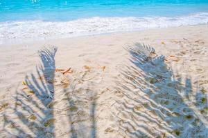 tropicale spiaggia sabbia con ombre di palma albero foglie.viaggio e vacanze concetto sfondo. foto