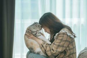 giovane donna abbraccio e bacio sua gatto.femmina abbracciare sua carino lungo capelli gattino. sfondo, copia spazio, vicino su. foto