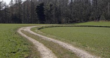 escursioni a piedi sentiero svolta giusto con alberi nel il sfondo foto