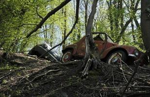 abbandonato vecchio macchine nel un' foresta foto
