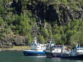 primavera tempo nel flam Norvegia foto