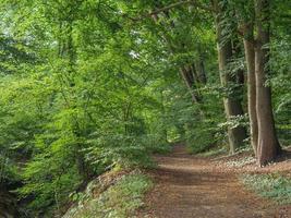 a il fiume berkel nel Germania foto