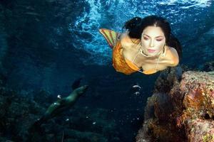 sirena nuoto subacqueo nel il in profondità blu mare con un' foca foto